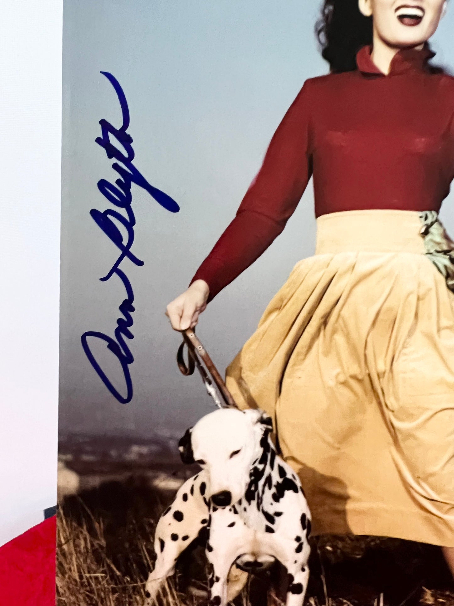 Ann Blyth Signed Autograph Photograph 1940 walking Dalmatians with COA