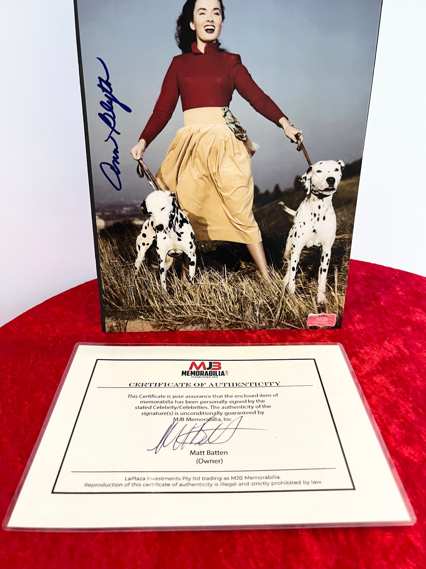 Ann Blyth Signed Autograph Photograph 1940 walking Dalmatians with COA
