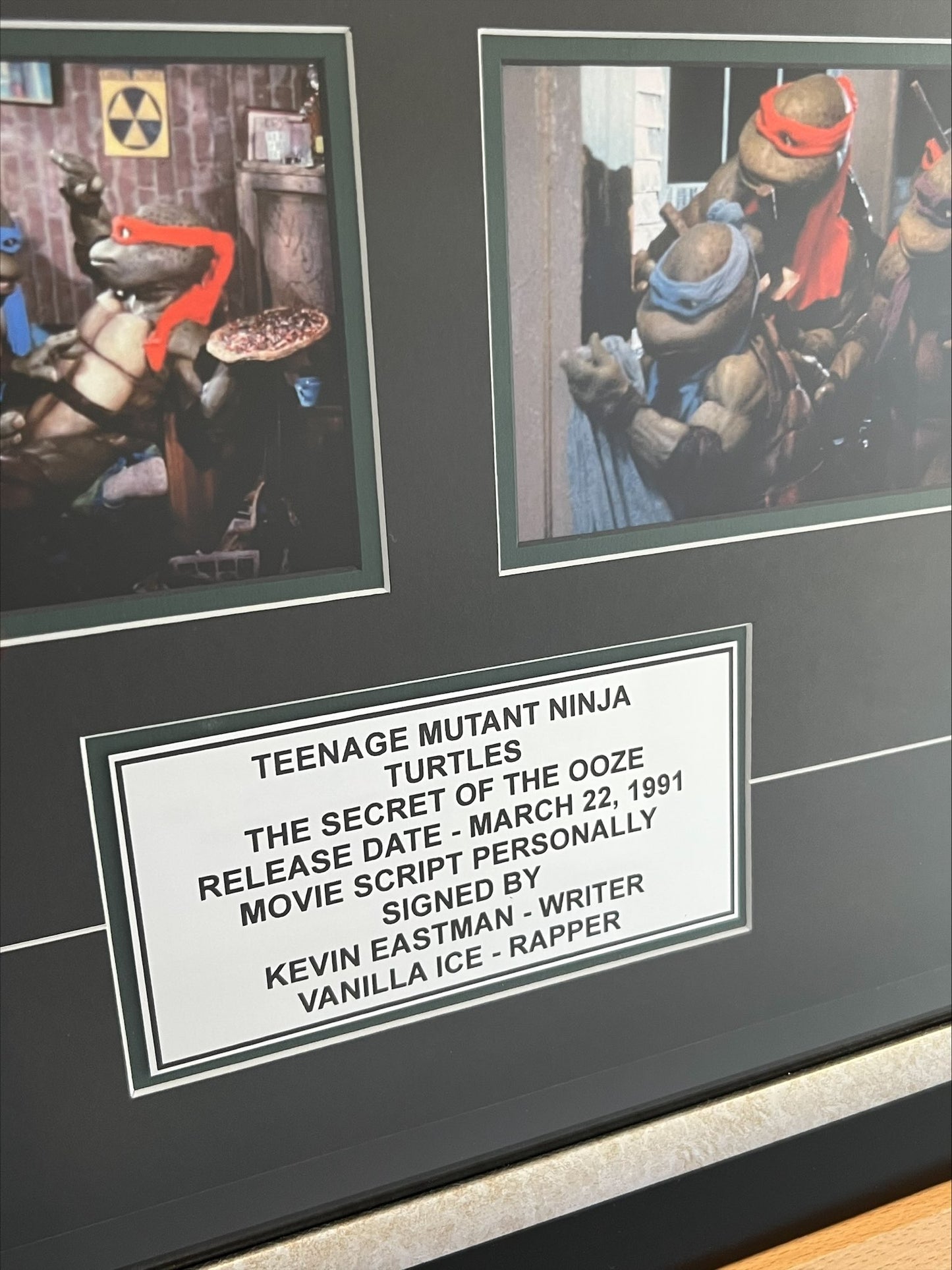 Kevin Eastman and Vanilla Ice Dual Signed Teenage Mutant Ninja Turtles Script JSA Authentication RARE