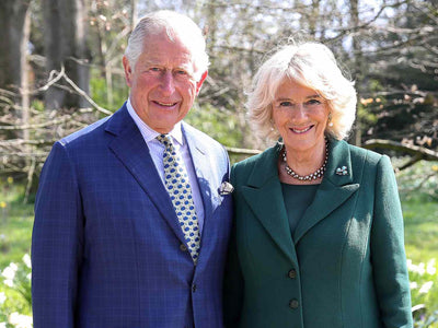 A Momentous Occasion: Unveiling King Charles III's Official Coronation Portrait