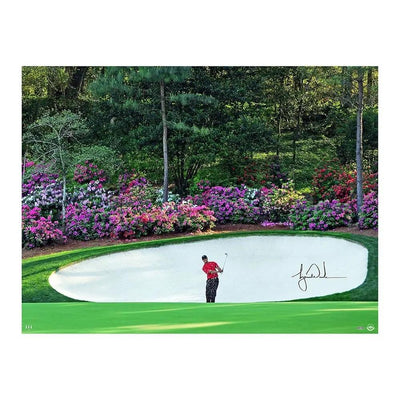 Iconic Memorabilia: A Look at the Signed Tiger Woods Photo on Auction