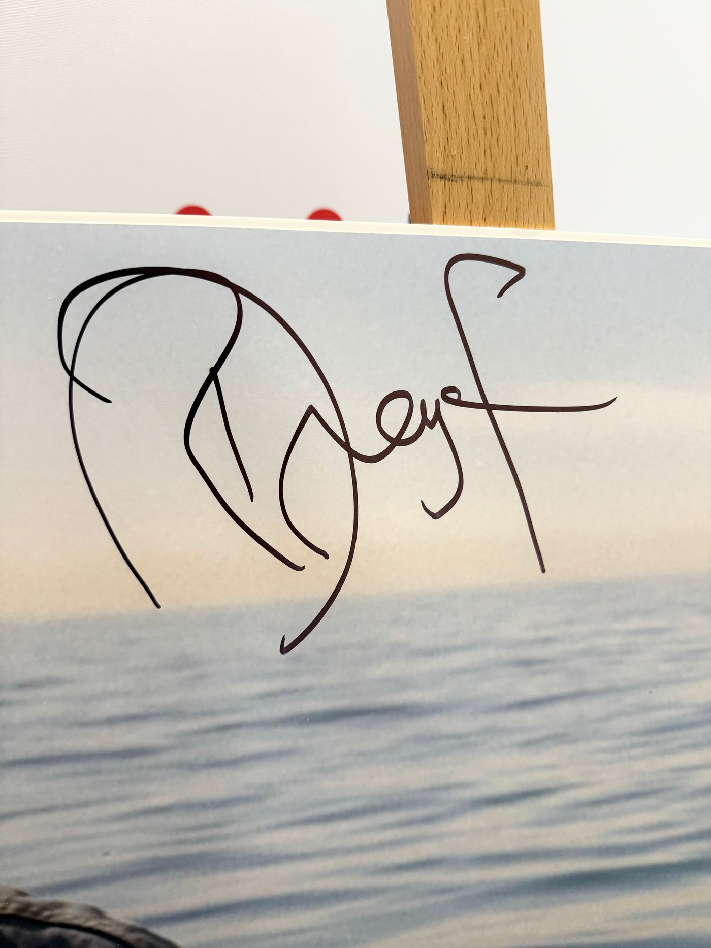 Richard Dreyfuss Signed Jaws Photo