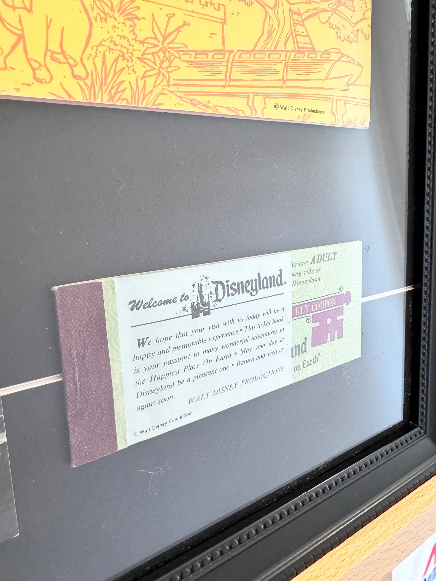 Walt Disney Disneyland Custom Framed 1960's Souvenir Guide Booklet with Vintage Ticket Book &amp; Vintage Postcard