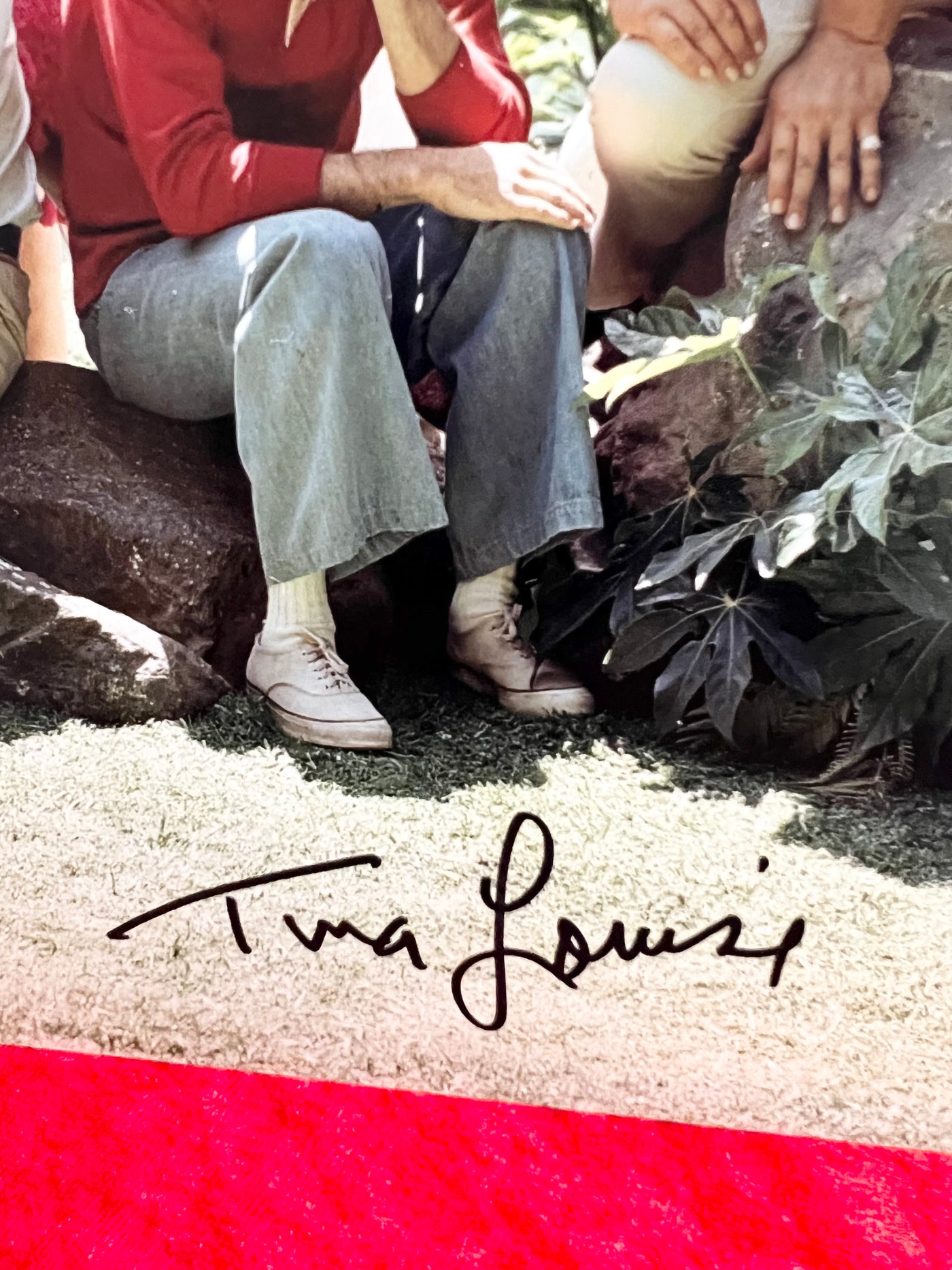 Tina Louise Signed Autograph Photograph Gilligan’s Island Cast COA