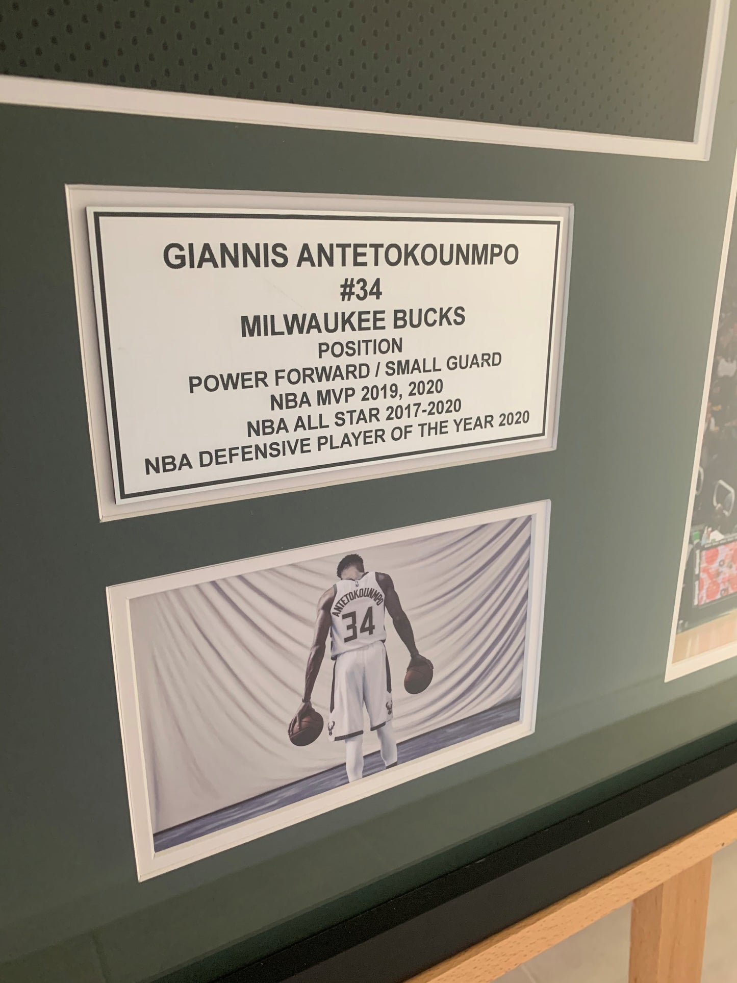 Giannis Antetokounmpo Milwaukee Bucks Hand Signed Framed Jersey JSA Authentication